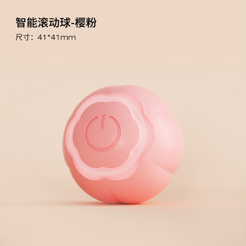 Fun Pet Cat Play Ball Toy