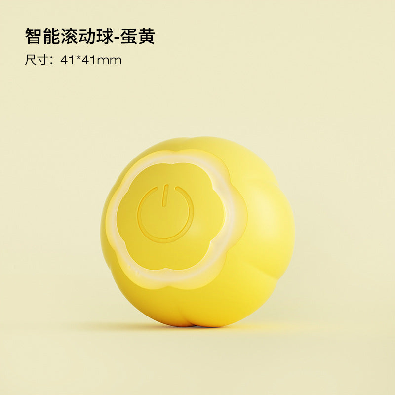 Fun Pet Cat Play Ball Toy