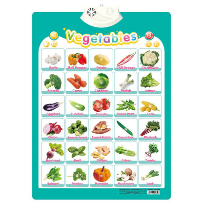 Fun Interactive English Learning Sound Toy
