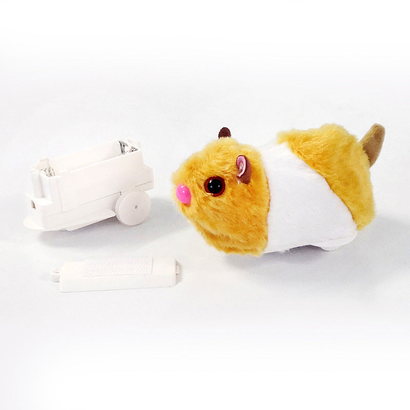 Fun Pet Exercise Ball Toy