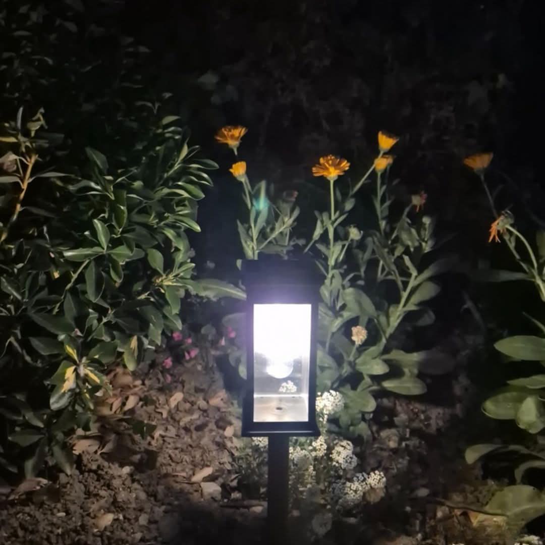 Outdoor Solar Powered Garden Light