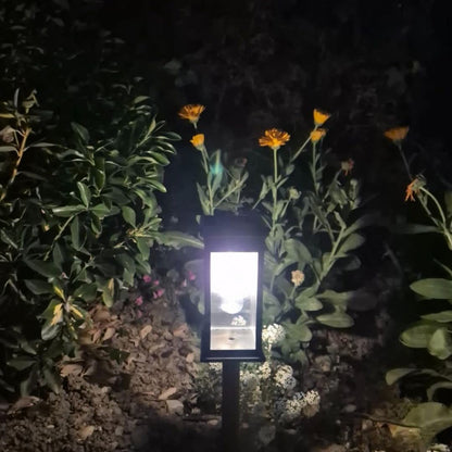 Outdoor Solar Powered Garden Light