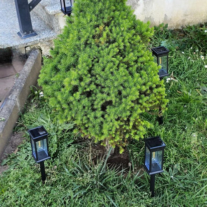 Outdoor Solar Powered Garden Light