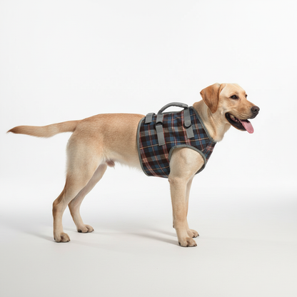 Comfortable Dog Rear Leg Support Harness