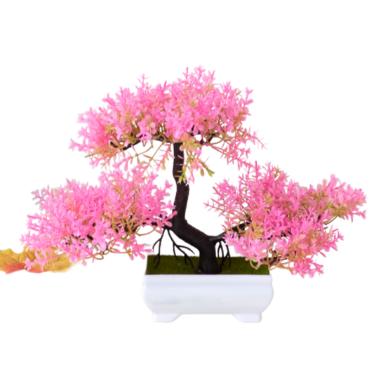 Blooming Befez Flower - Befez