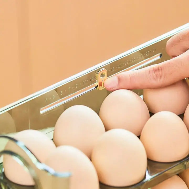 Compact Egg Storage Box with Flip Top Lid