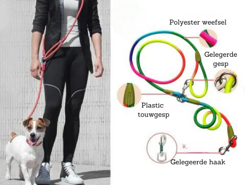 Easy Walk Hands-Free Dog Leash