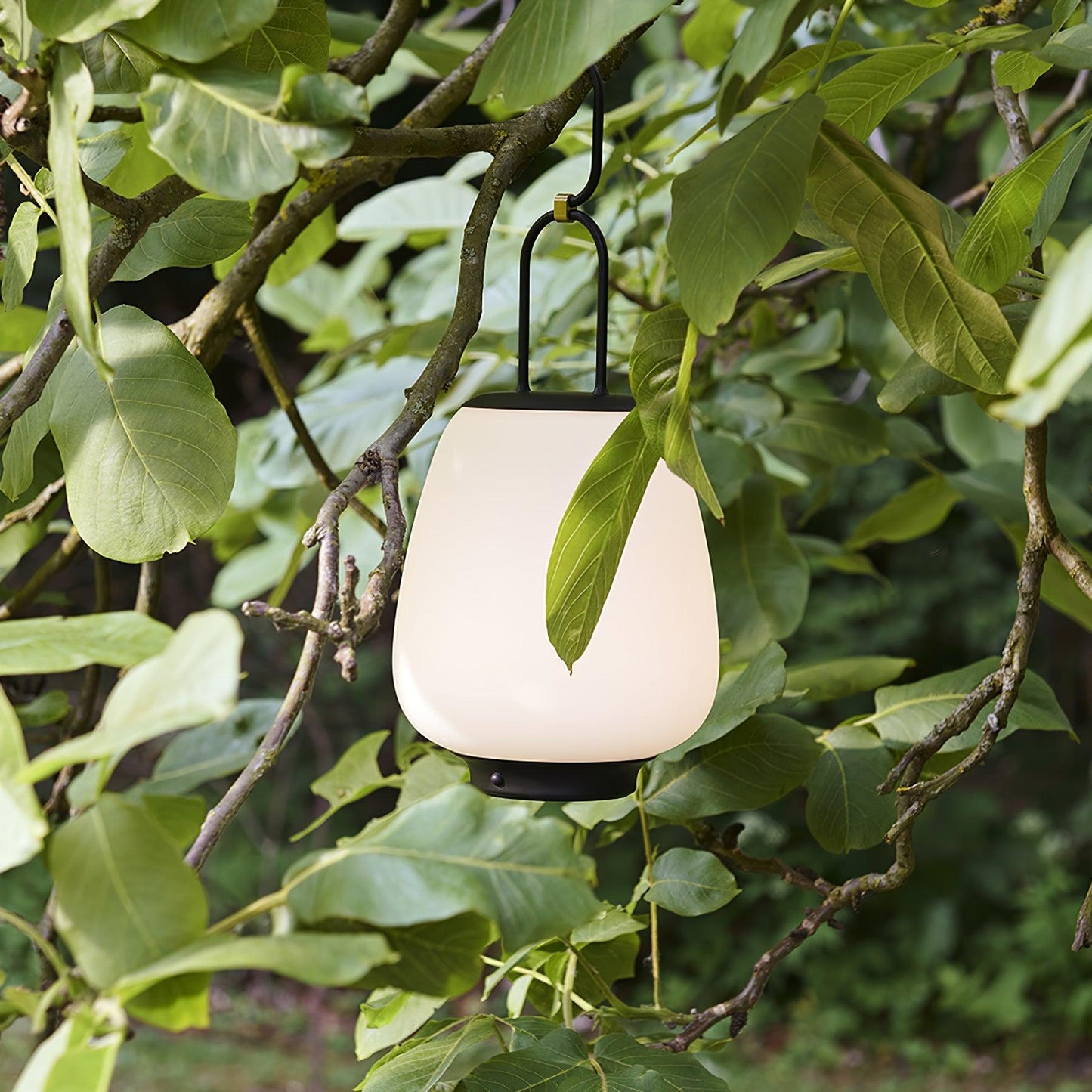 Classic Style Lantern Cable Lamp with Elegant Design