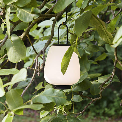 Classic Style Lantern Cable Lamp with Elegant Design