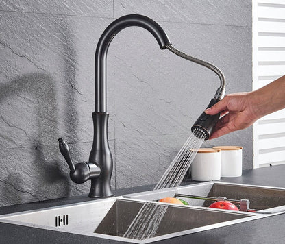 Premium Pull-Out Kitchen Sink Faucets