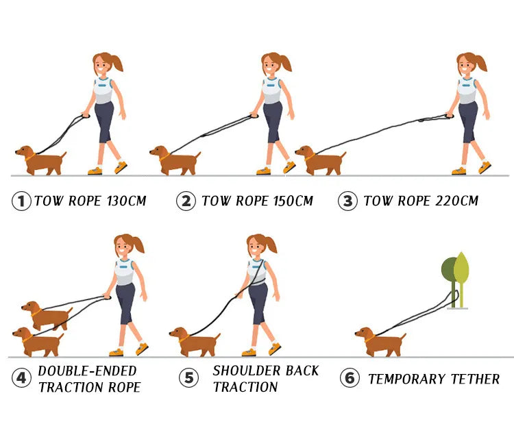 Easy Walk Hands-Free Dog Leash