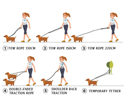 Easy Walk Hands-Free Dog Leash