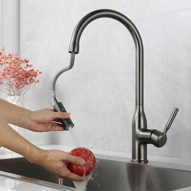 Premium Kitchen Faucet with Adjustable Hand Sprayer