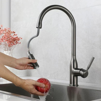 Premium Kitchen Faucet with Adjustable Hand Sprayer