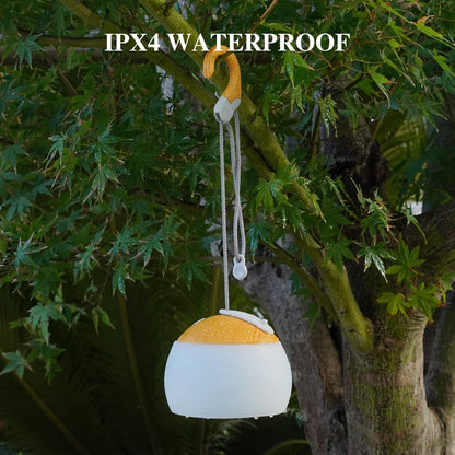 Portable LED Camp Light with USB Charger