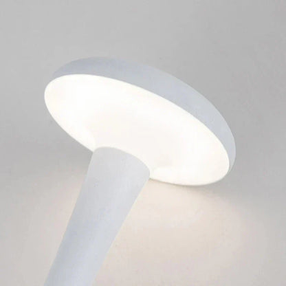 Portable LED Desk Light Befez