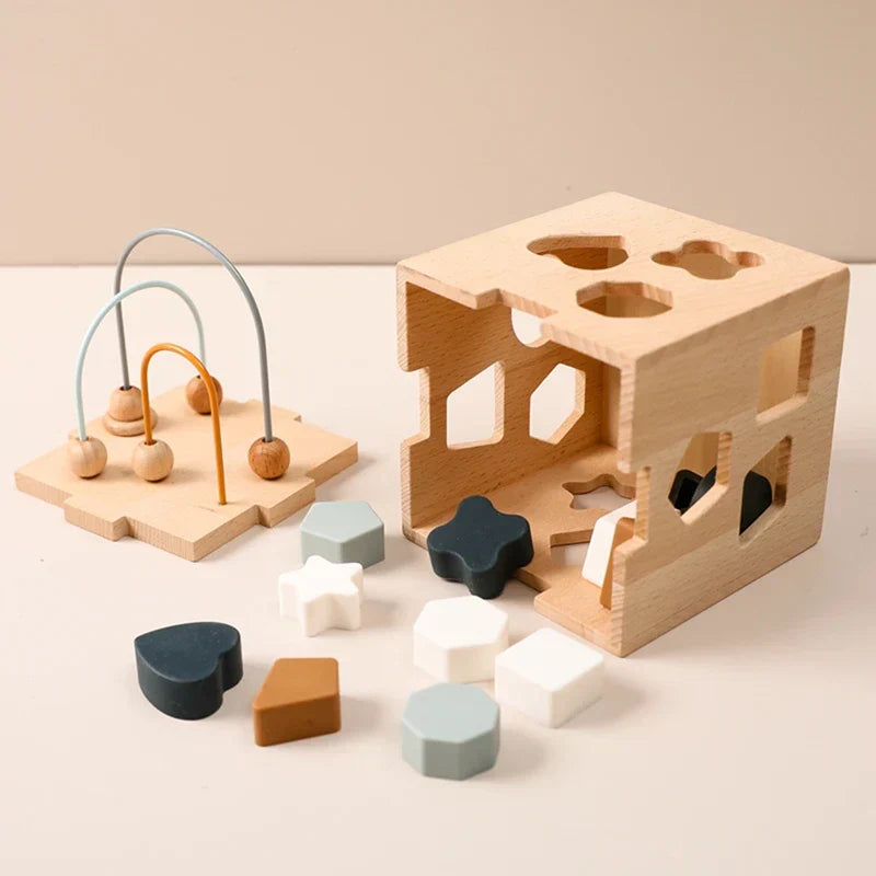 Educational Wooden Shape Sorting Toy Block