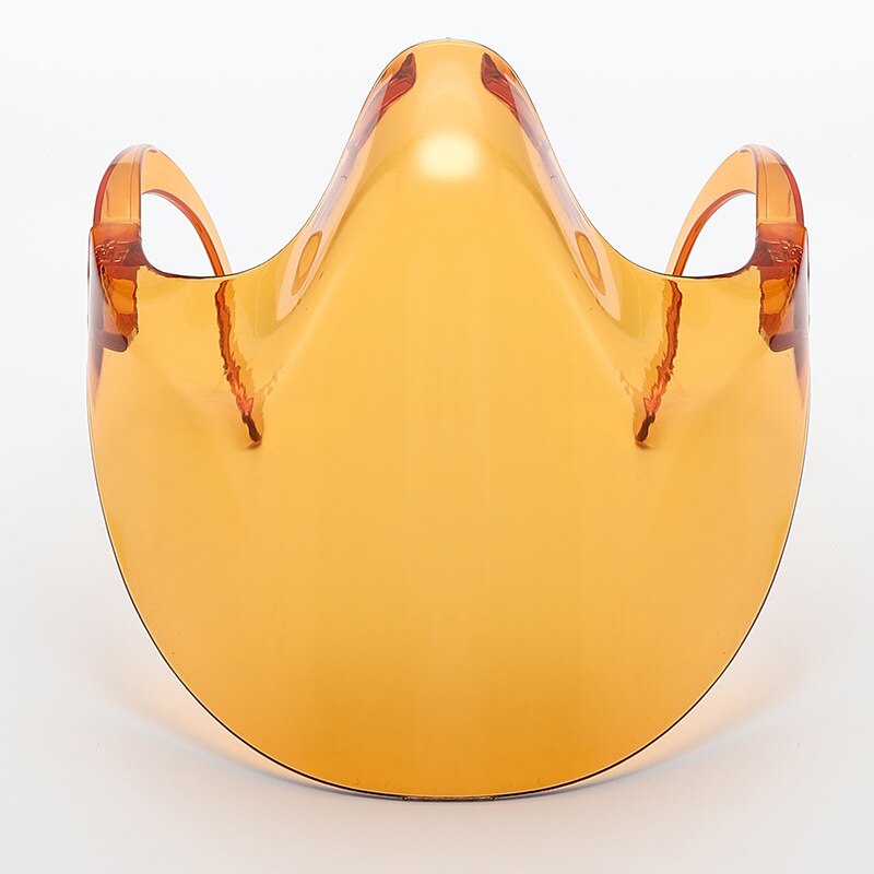 Clear Protective Full Face Safety Mask