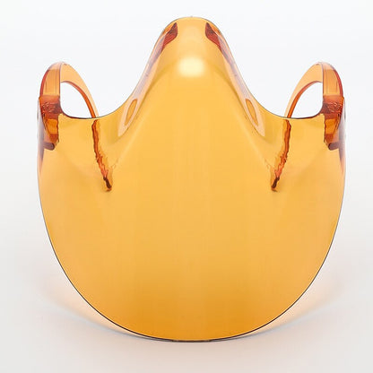 Clear Protective Full Face Safety Mask