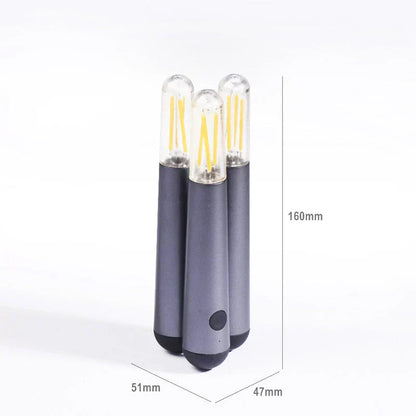 Portable Plug in LED Nightlight Befez