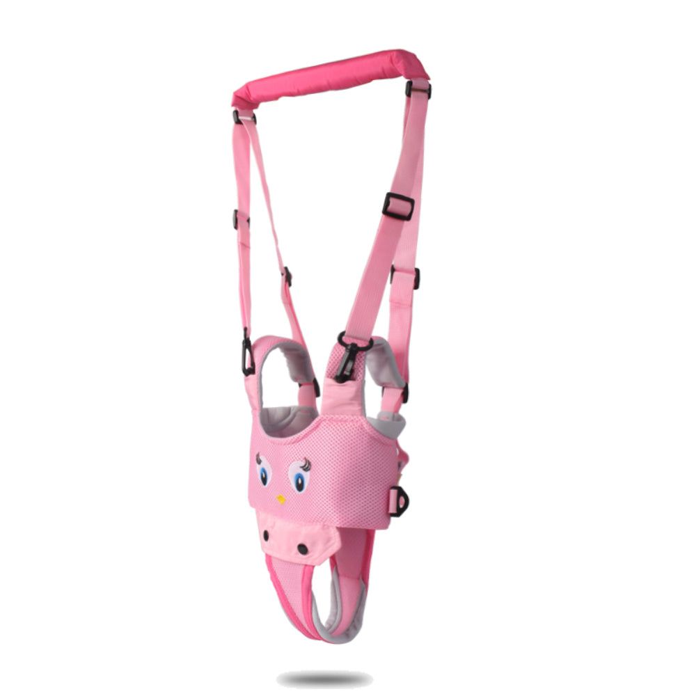 Smart Walking Stick Befez - Befez