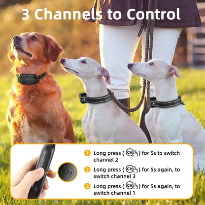 Waterproof Rechargeable Dog Training Collar with Remote