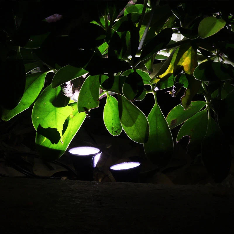 Color Changing Outdoor Solar Lamp System Waterproof LED