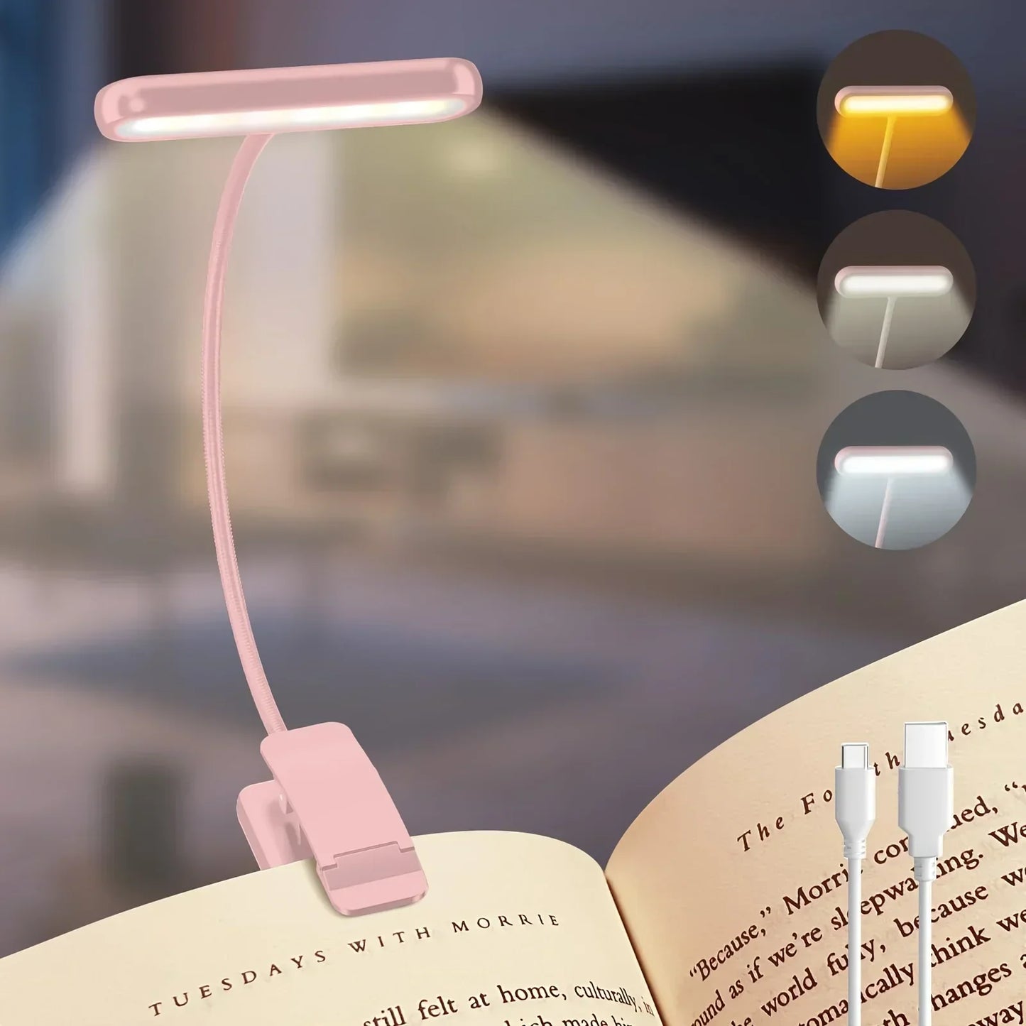 Portable LED Desk Lamp with Adjustable Brightness and USB Charging
