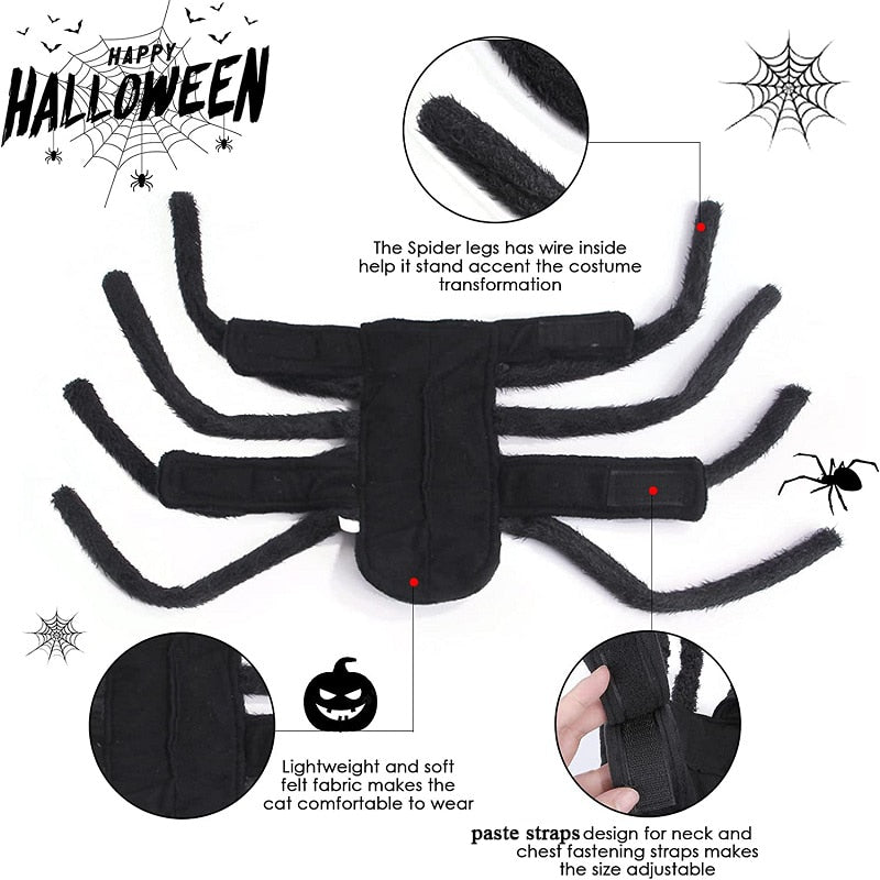 Cute Black Spider Pet Suit