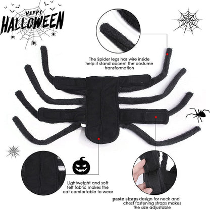 Cute Black Spider Pet Suit