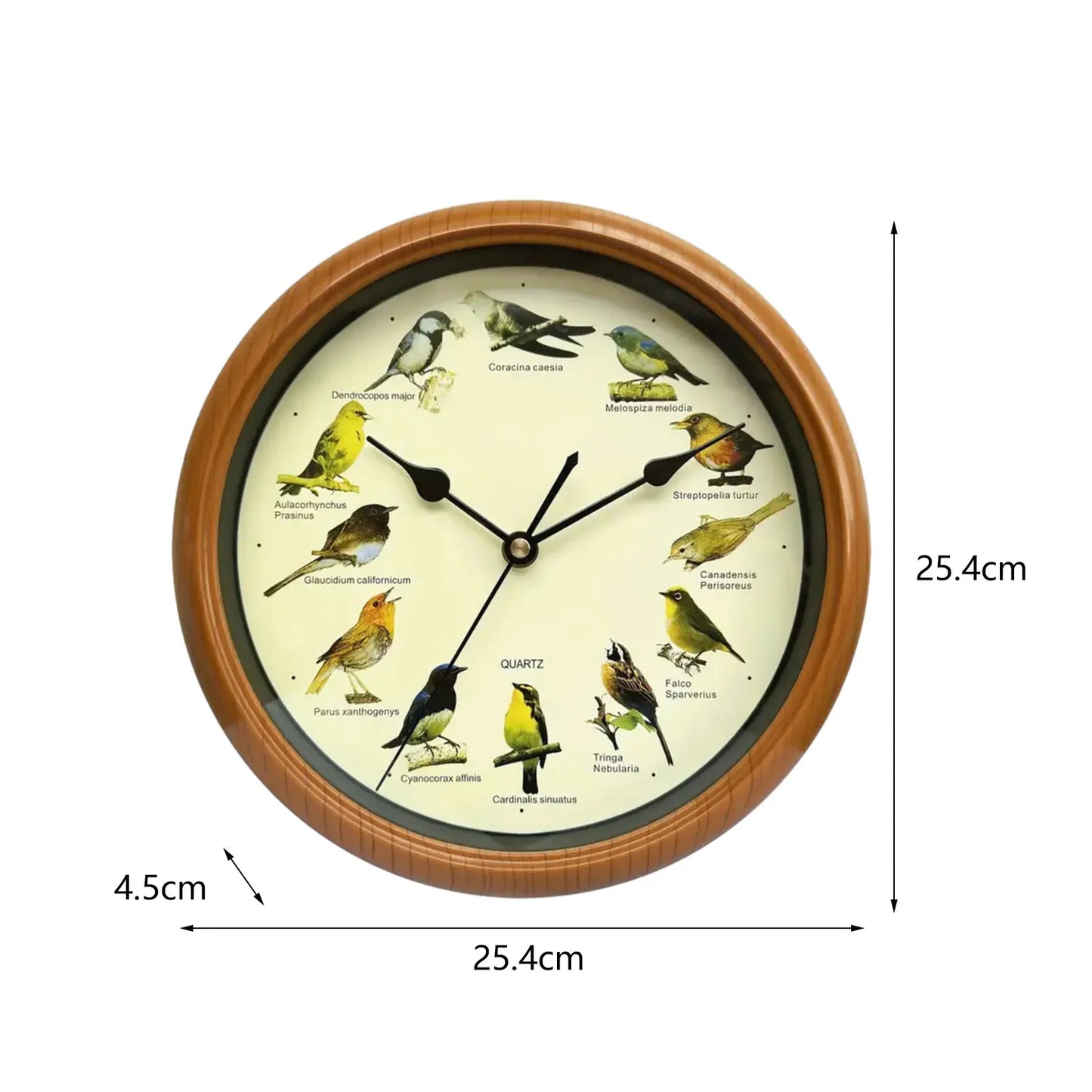 Decorative 10 Inch Bird Song Wall Clock