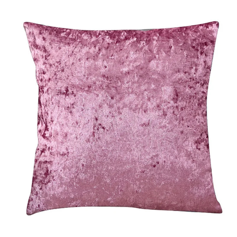 Plush Velvet Accent Pillow for Home Decor