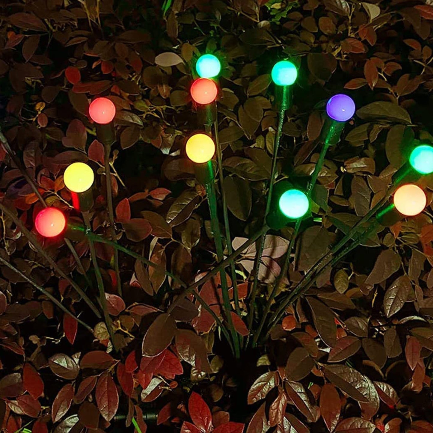 String Fairy Lights Outdoor Ambiance
