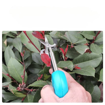 Befez | Simple Harvest Fruit Cutter Scissors
