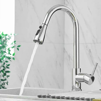 Sleek Pull-Down Kitchen Faucet for Contemporary Homes