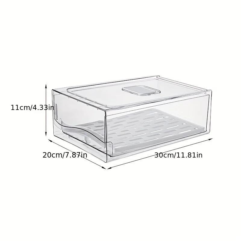 Compact Fridge Storage Container for Food & Produce