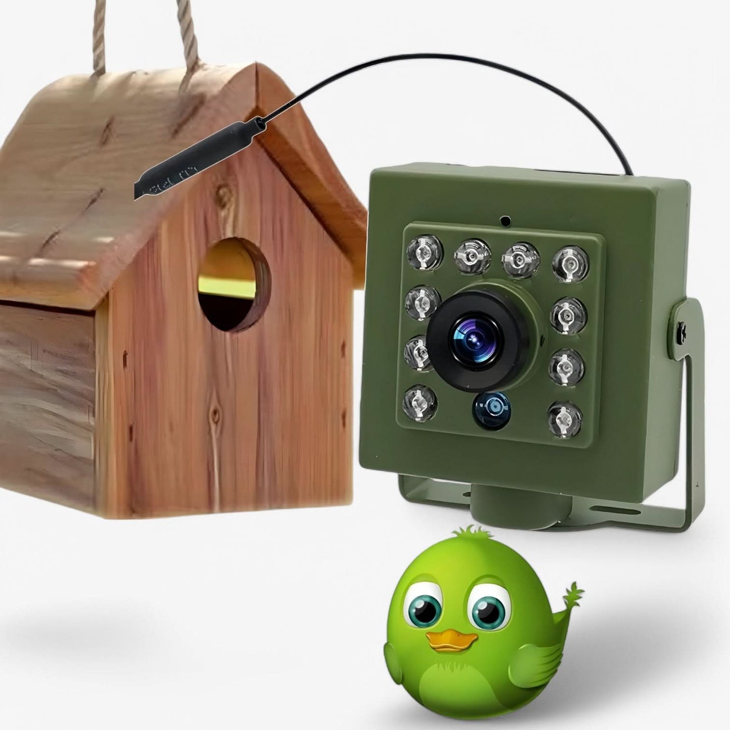 Befez | Clear 1080p Waterproof Bird Watching Camera - Befez