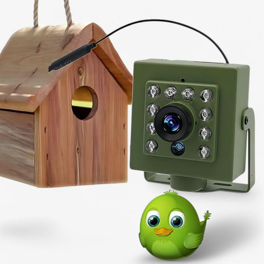 Befez | Clear 1080p Waterproof Bird Watching Camera - Befez