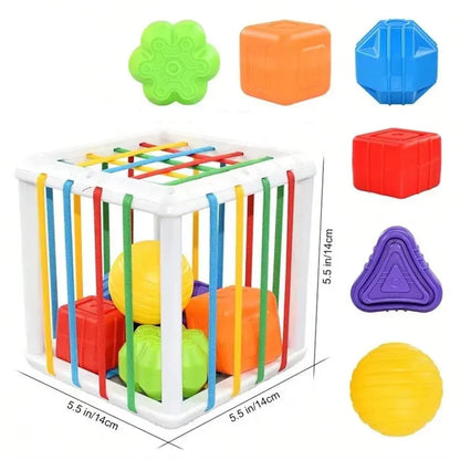 Educational Wooden Shape Sorting Toy Box