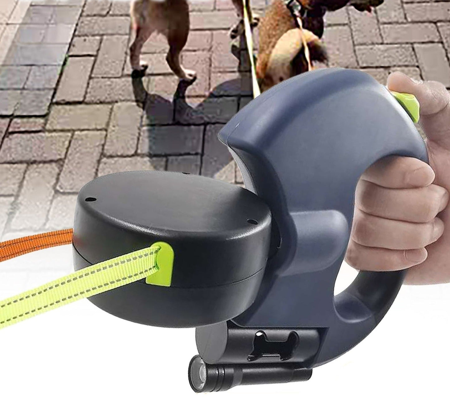 Best Dog Befez Solution