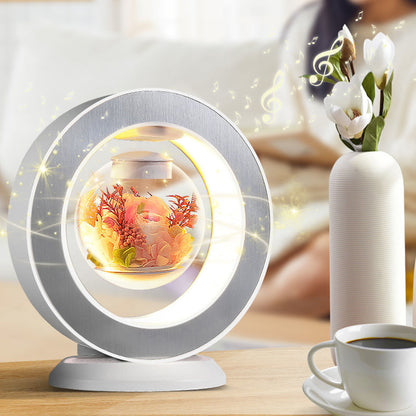 Floating Decorative LED Suspension Lamp