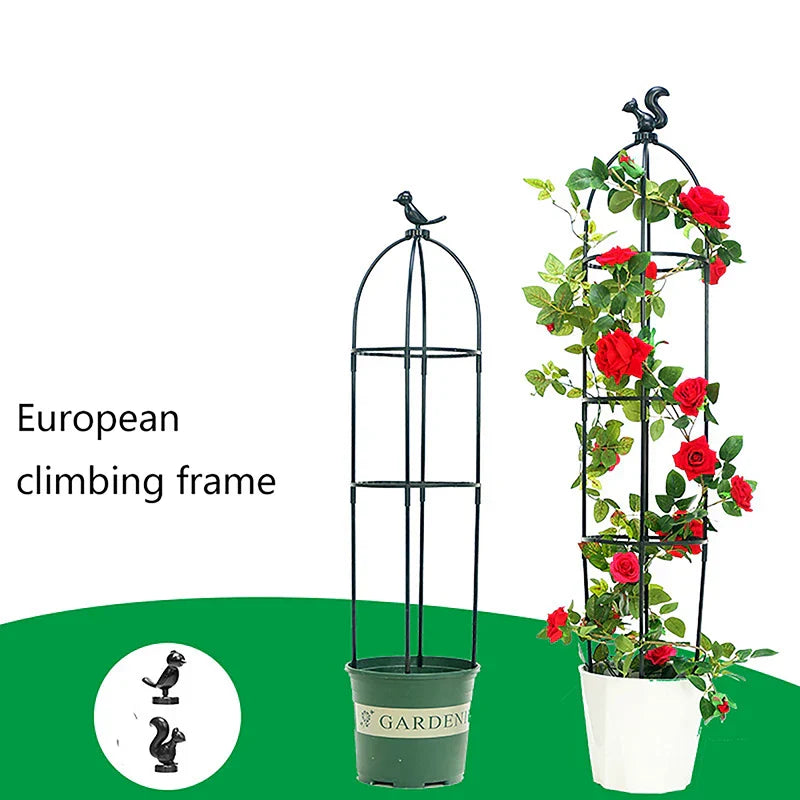 Durable Garden Plant Support Frame - Befez