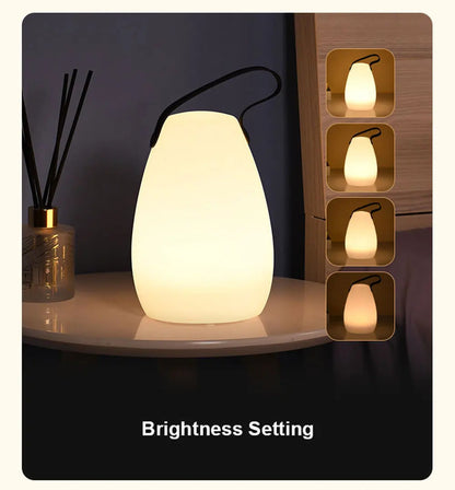 Portable LED Outdoor Lantern