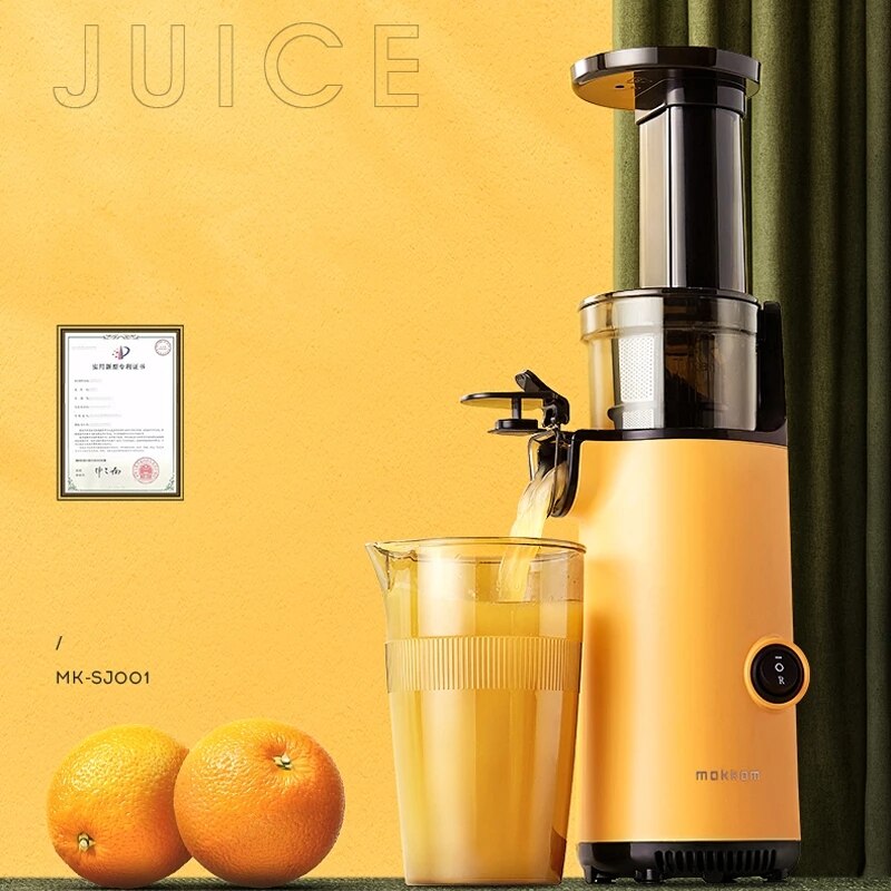 Easy Use Automatic Fresh Juice Extractor Machine - Befez