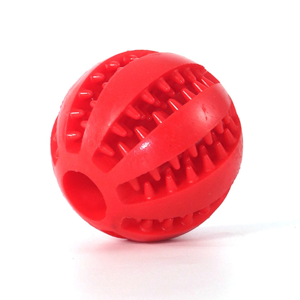 Eco Friendly Durable Dog Toy for Play