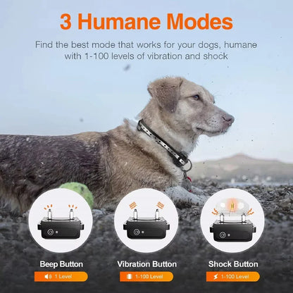 Waterproof Remote Dog Training Collar with 1000m Range