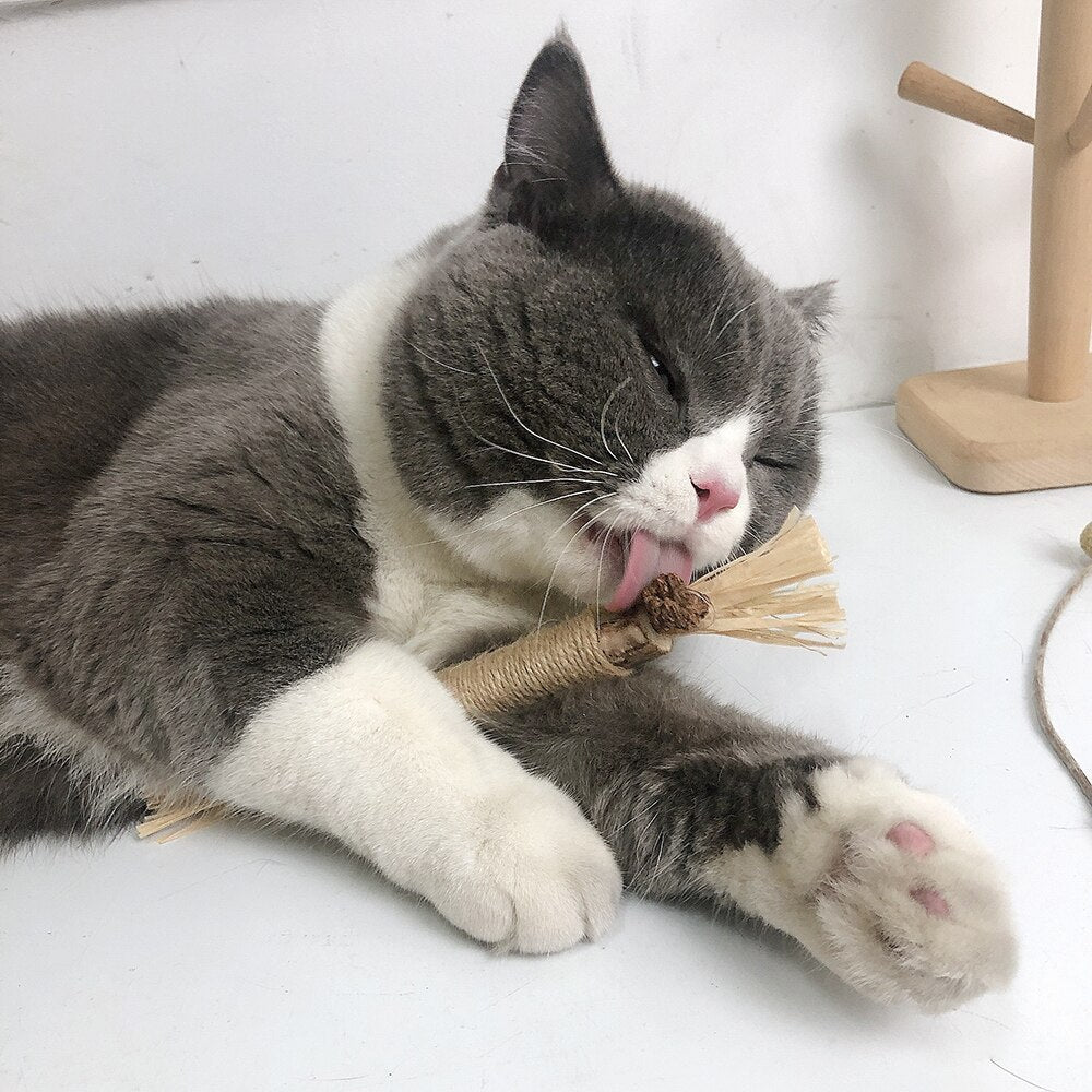 Healthy Cat Chew Treats Sticks