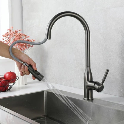 Premium Kitchen Faucet with Adjustable Hand Sprayer