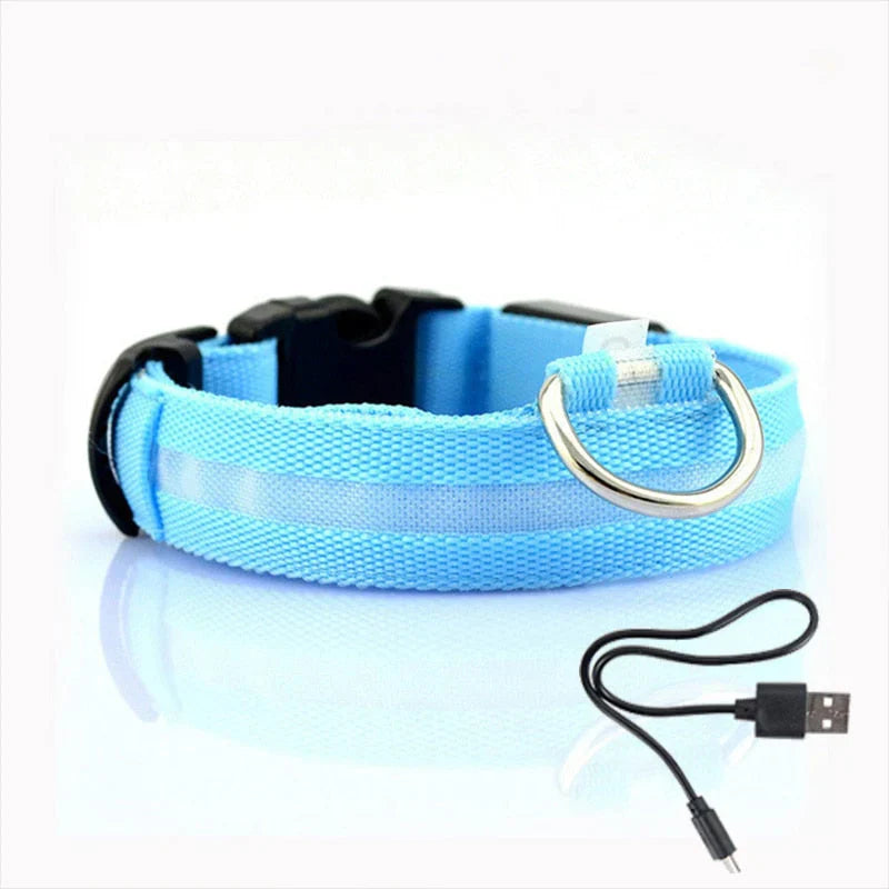 Glowing Pet LED Collar - Befez