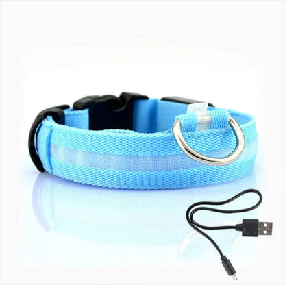 Glowing Pet LED Collar - Befez